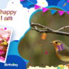happy birthday wishes animation video download