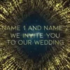wedding invitation videos