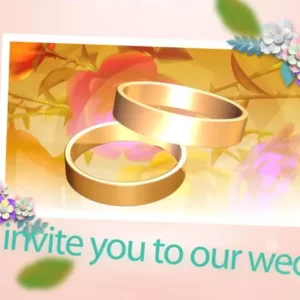 wedding_invitation_224