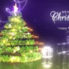 Digital Christmas card video