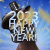 Funny New Year wishes for friends