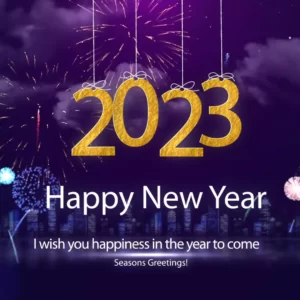 Happy New Year Video_442