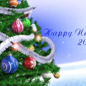 Happy New Year Video_446
