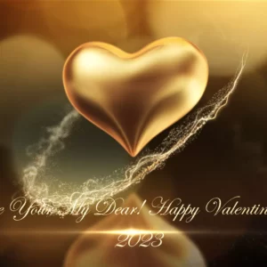 happy valentine gif animated video_10