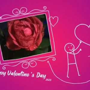 funny happy valentines day gif video 34